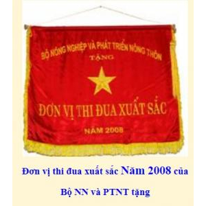 Thành tích công ty đạt được qua các năm từ 2000 - 2009